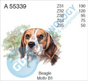 A 55339 Z34 4/75 BEAGLE