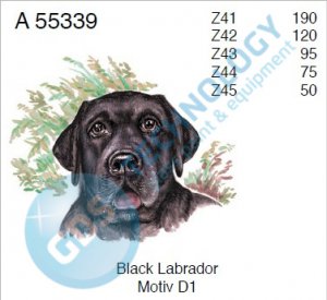 A 55339 Z44 4/75 LABRADOR ČERNÝ