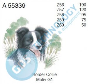 A 55339 Z59 4/75 BORDERCOLIE
