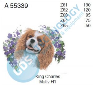 A 55339 Z64 4/75 KING CHARLES
