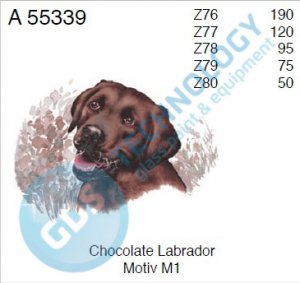 A 55339 Z80 5/50 CHOKOLATE LABRADOR
