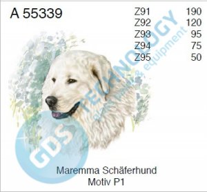 A 55339 Z95 5/50 ITAL.SCHEPHERD
