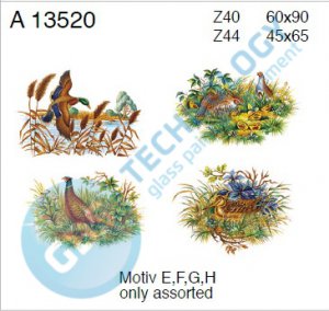 A 13520 Z40 KDV Zvěř pernatá 60x90