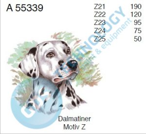 A 55339 Z24 4/75 DALMATIN